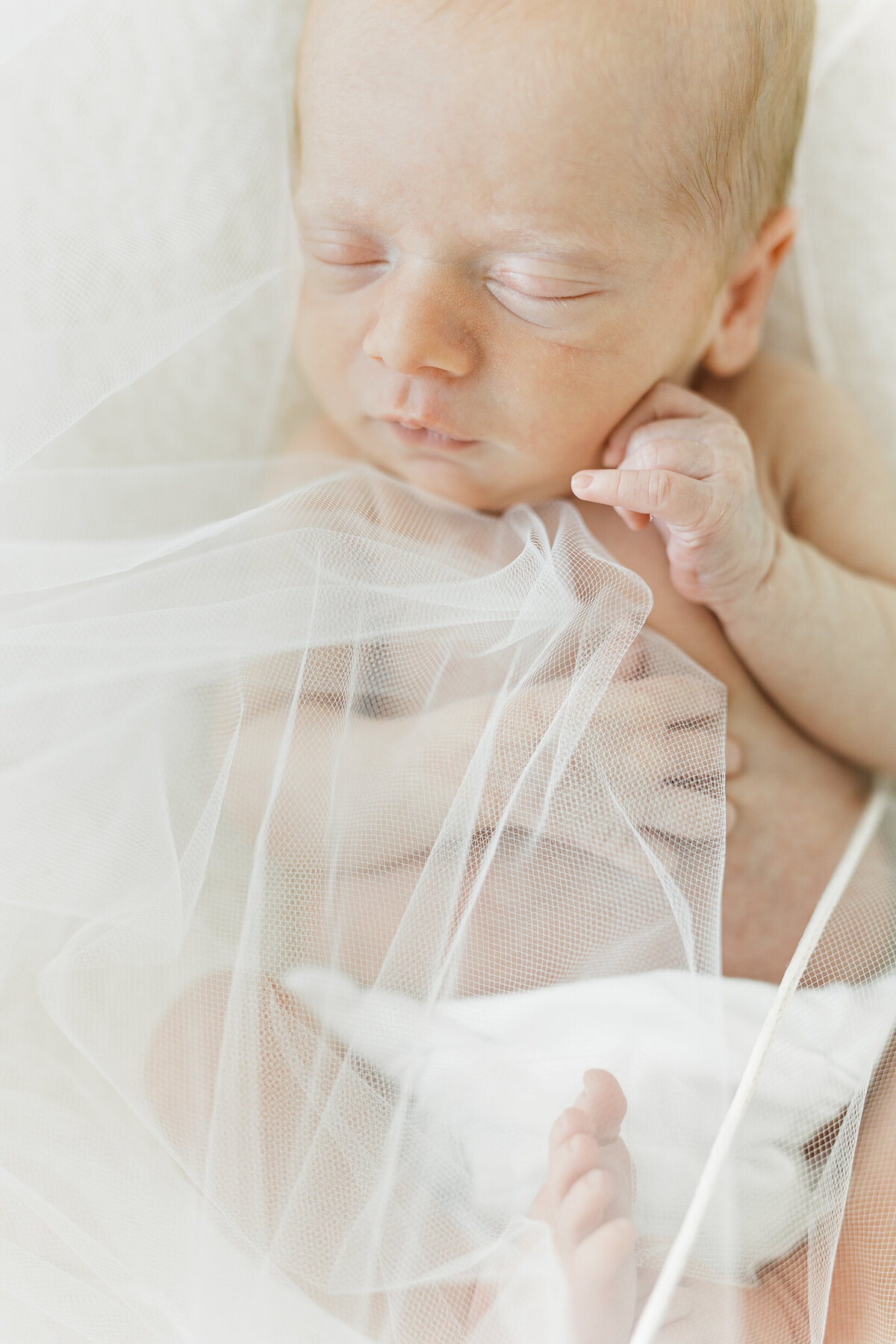 Little_Rock_Home_Newborn_Photographer-1