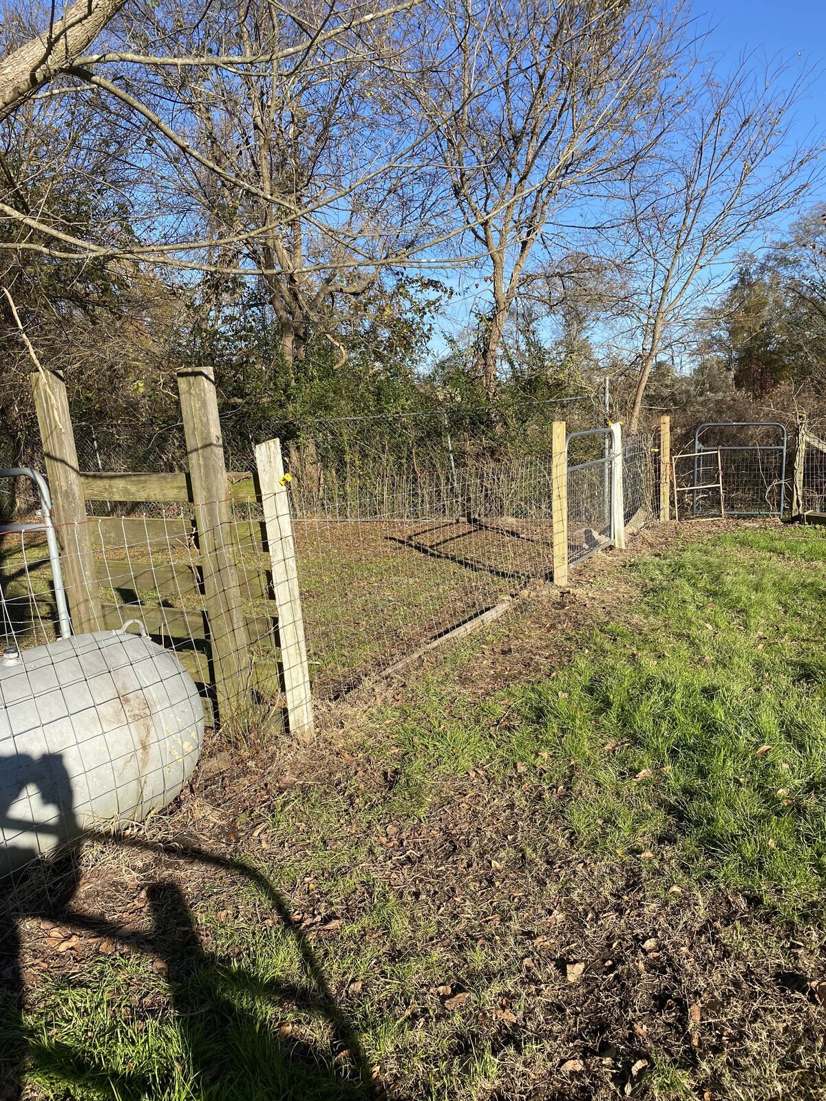wood-and-wire-fence-among-septic-tank-and-trees
