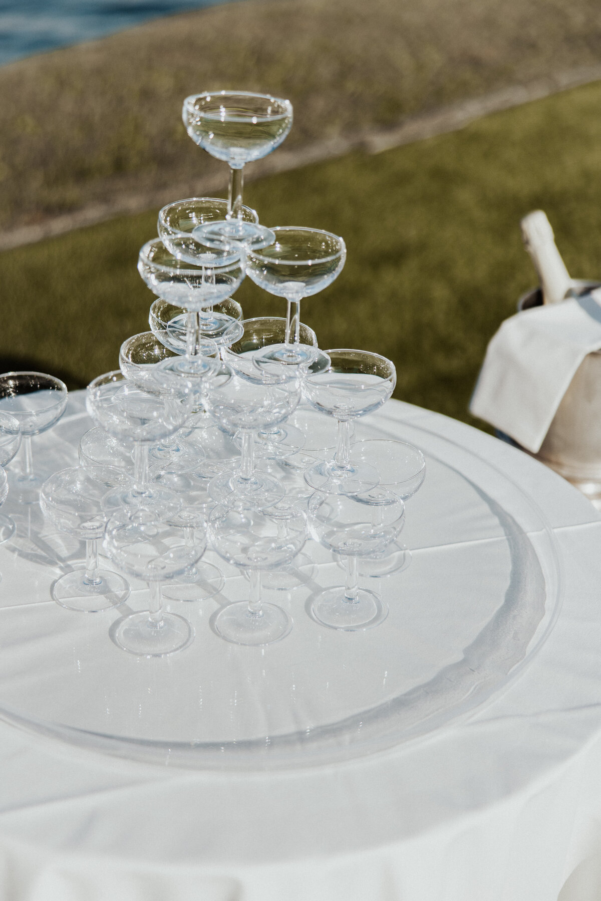 LizSchneiderPhoto-2391