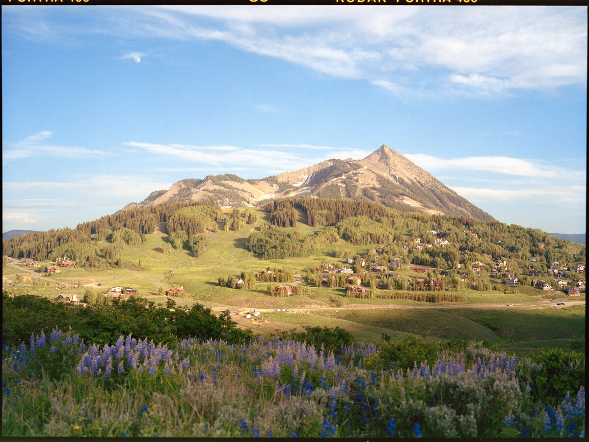 CB, Mt. Crested Butte Wildflowers (6x8)-2