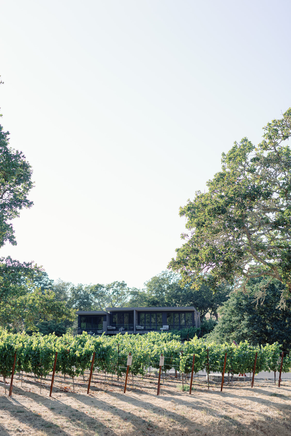 Katie + Matt Wedding_Niki Rhodes Photo-96