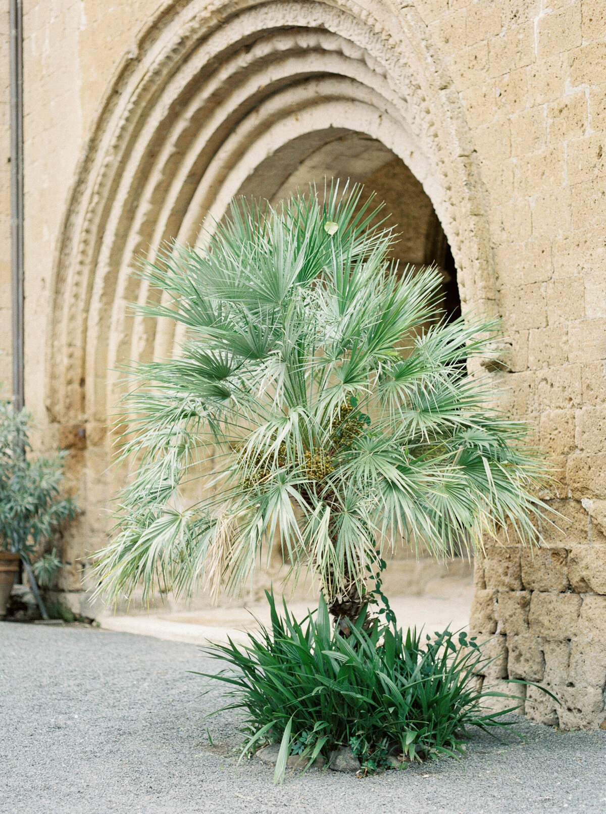 Maïlys Fortune Photography Husband Wife Wedding Weddings Photography France Switzerland Italy Timeless Dreamy Imagery Bilingual French English Destination Weddings Destination Wedding Provence French Riviera Paris Lake Como Tuscany28