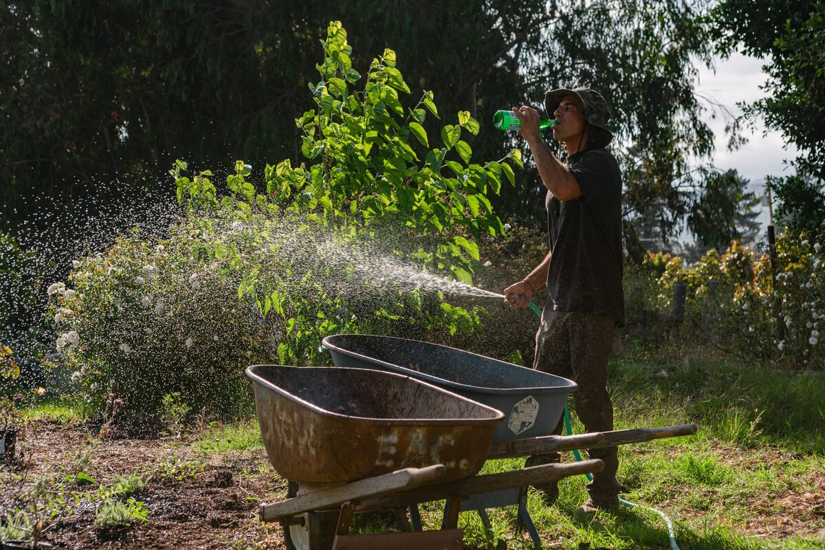 The-Ripe-Org-Farm-Ventura-California-Santa-Paula-Non-Profit-0054