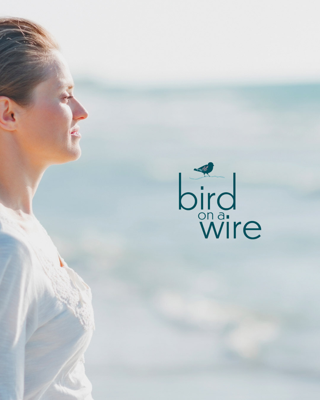 brand-identity-design-signature-package-sprary-vertical-logo-baer-brand-studio