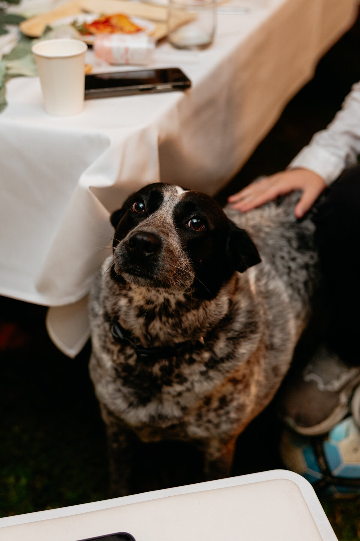 Ebony&Cameron-JBCreative-559