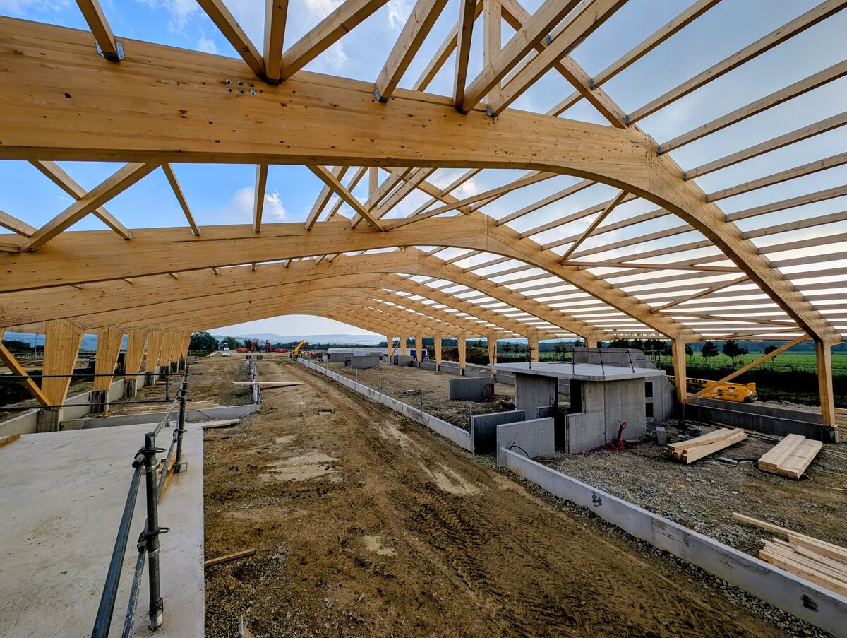 PXL_20250930_144924370~2