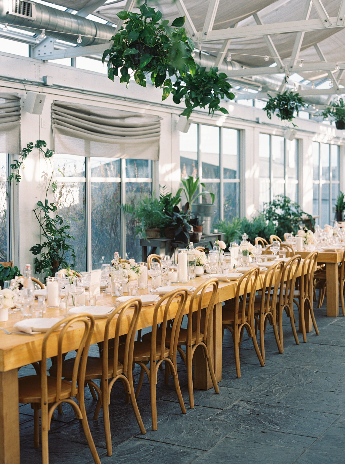 Long dinner table set under the greenhouse at Audrey’s Farmhouse in Wallkill, NY.