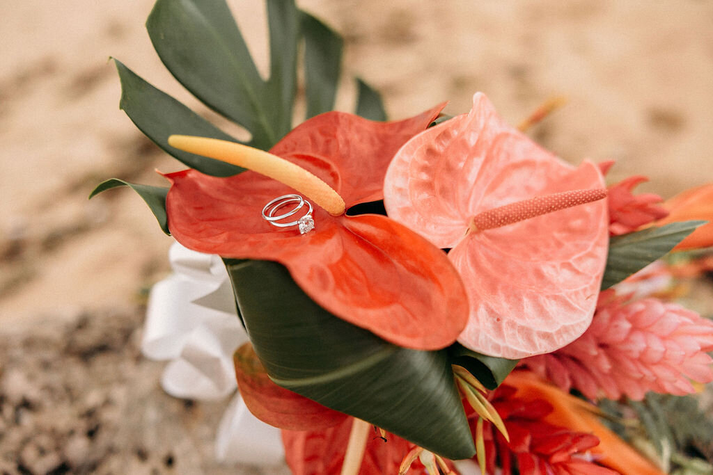 Kualoa-beach-elopement-166