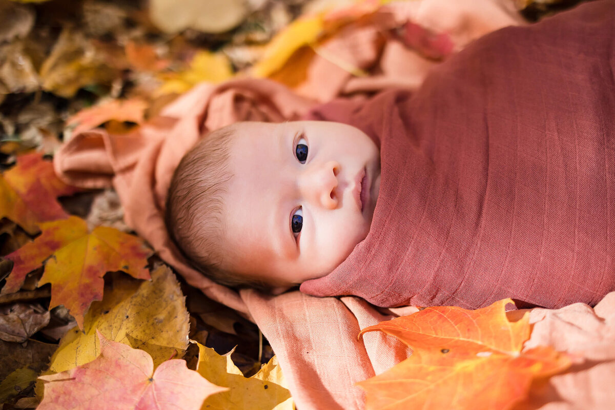 Fall Nature Center Newborn Session I Megan Norman Photography