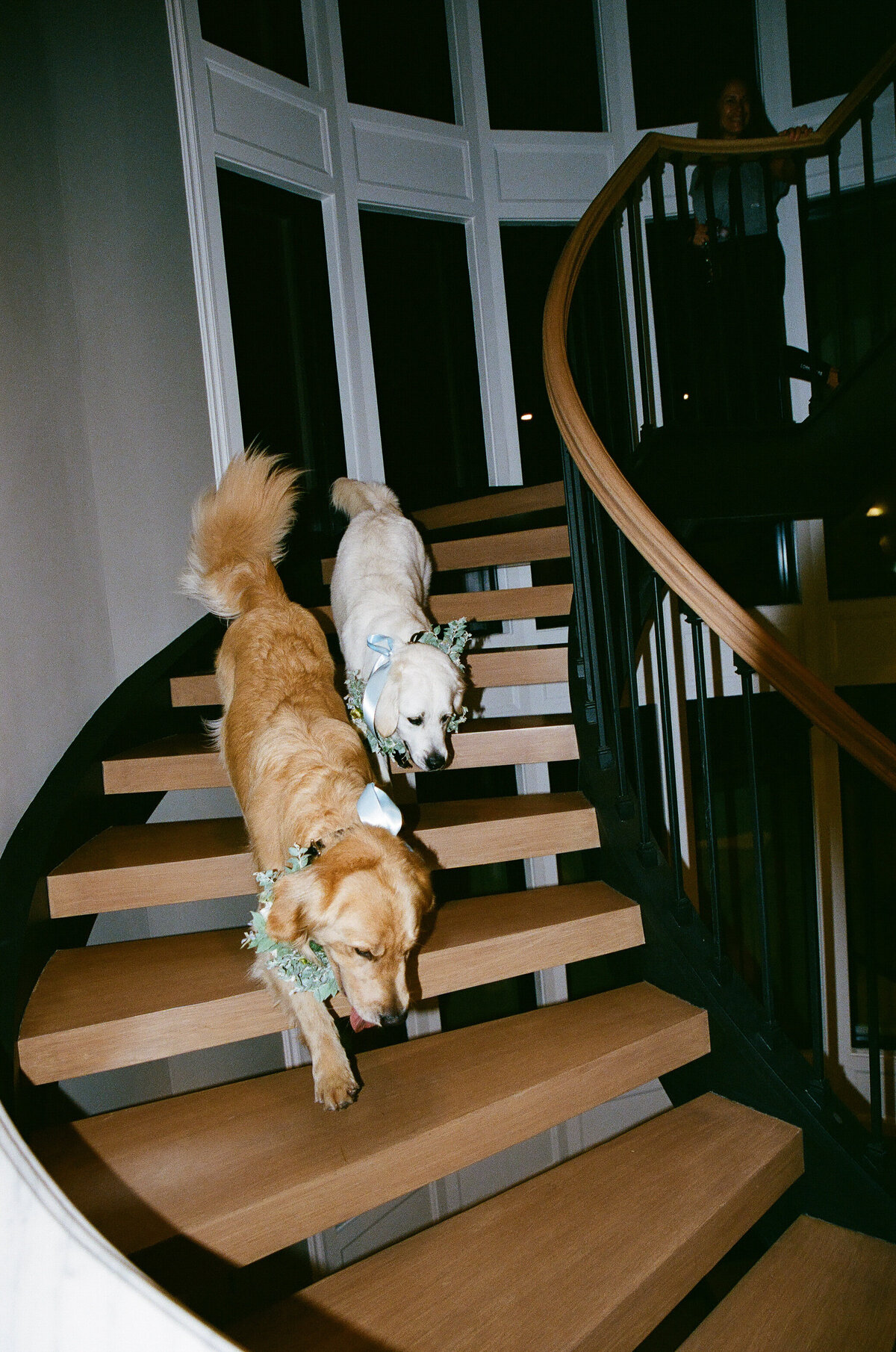 2 ashley birthday film for picnic collective - south of indigo photography