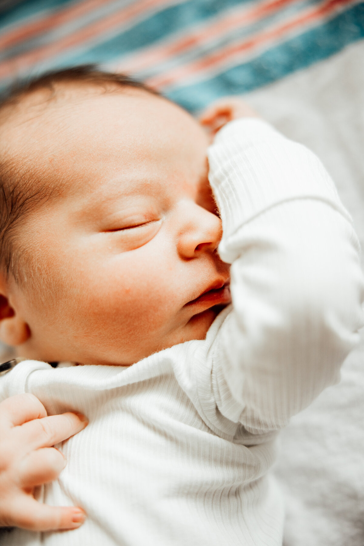 fresh 48 baby photography huntsville