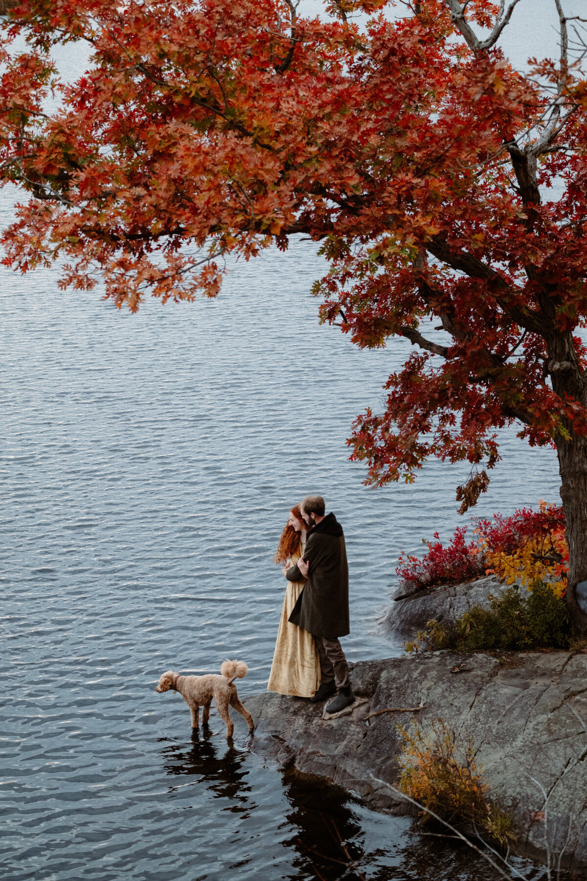engaged-couple-with-their-dog-by-the-water-under-a-tall-red-maple-tree-at-little-mellon-lake-ontario-1