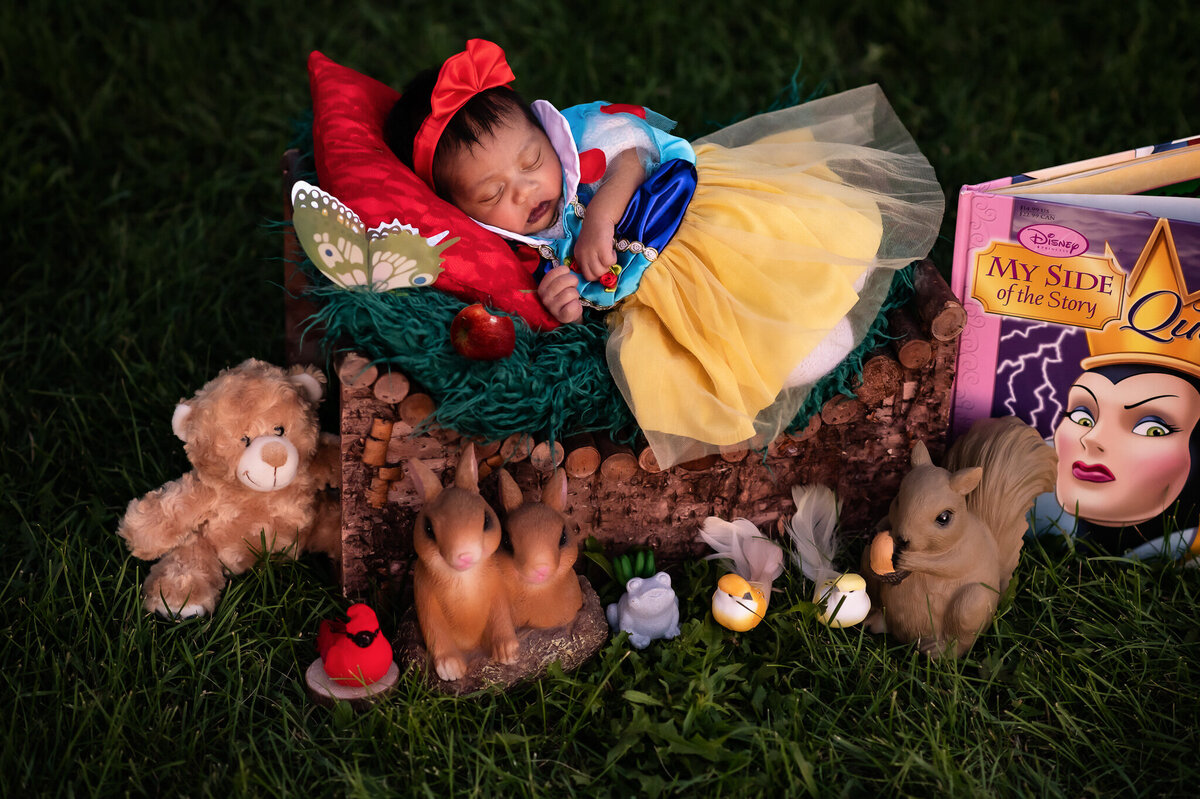 Baby girl dressed up in a Snow White set up at a photo session outdoors at Sam Lawrence Park.