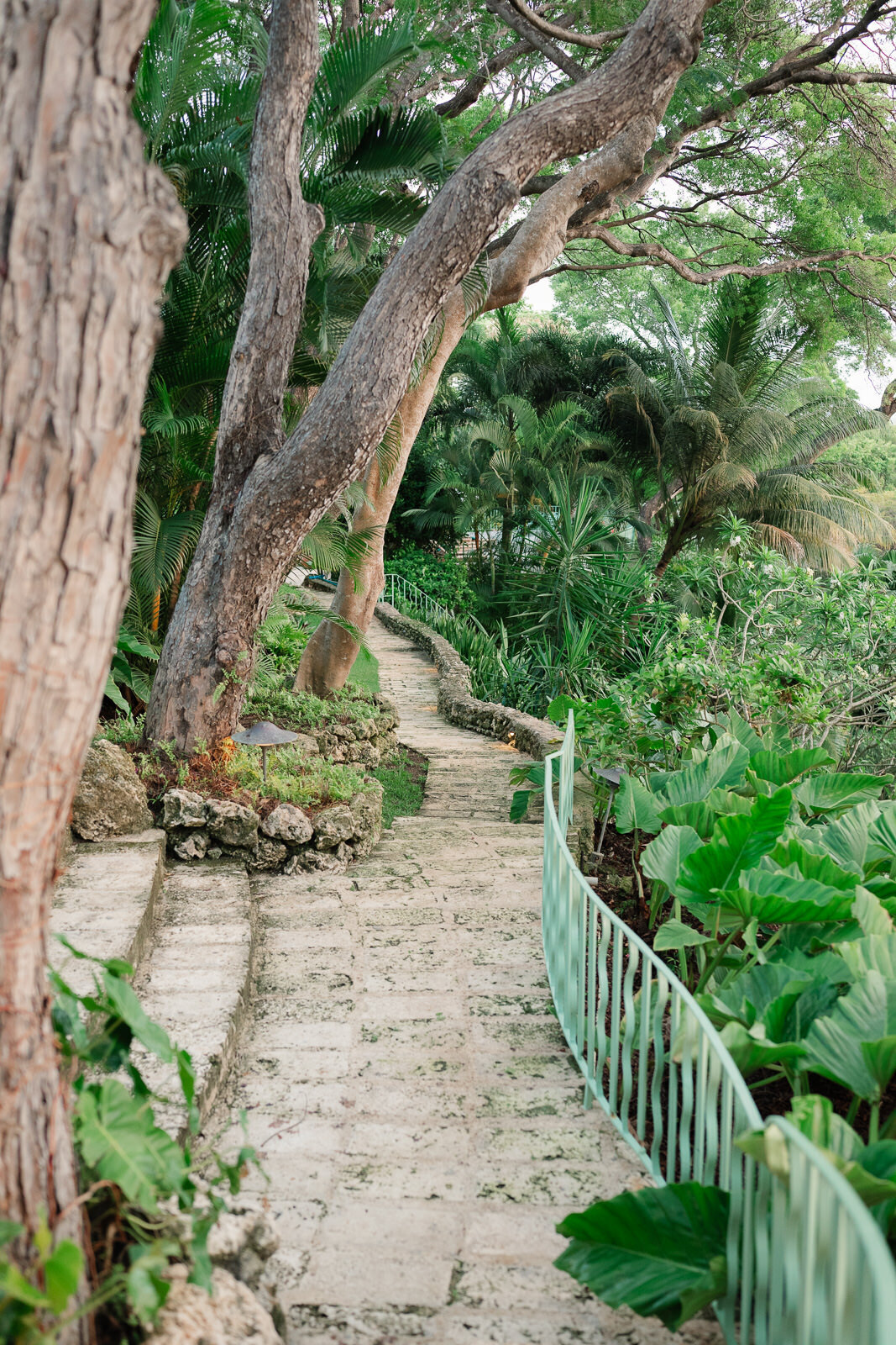 Fustic House Barbados Wedding-45