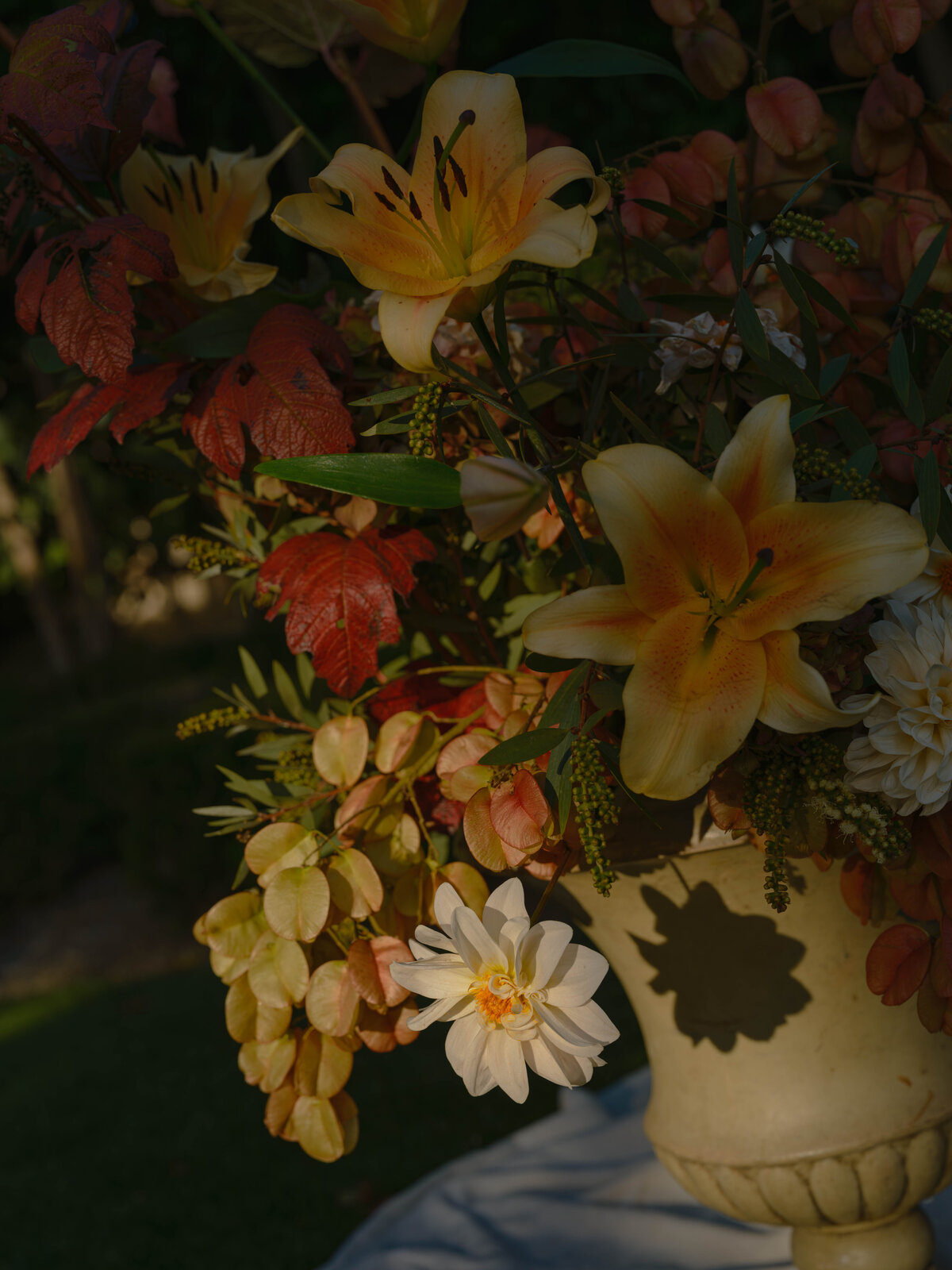 fionatangphotography--14