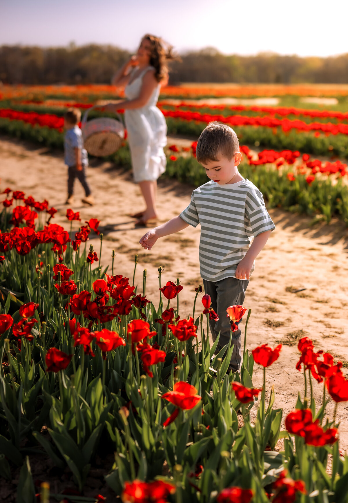 Melissa Moyers - Tulip Mini Session-3