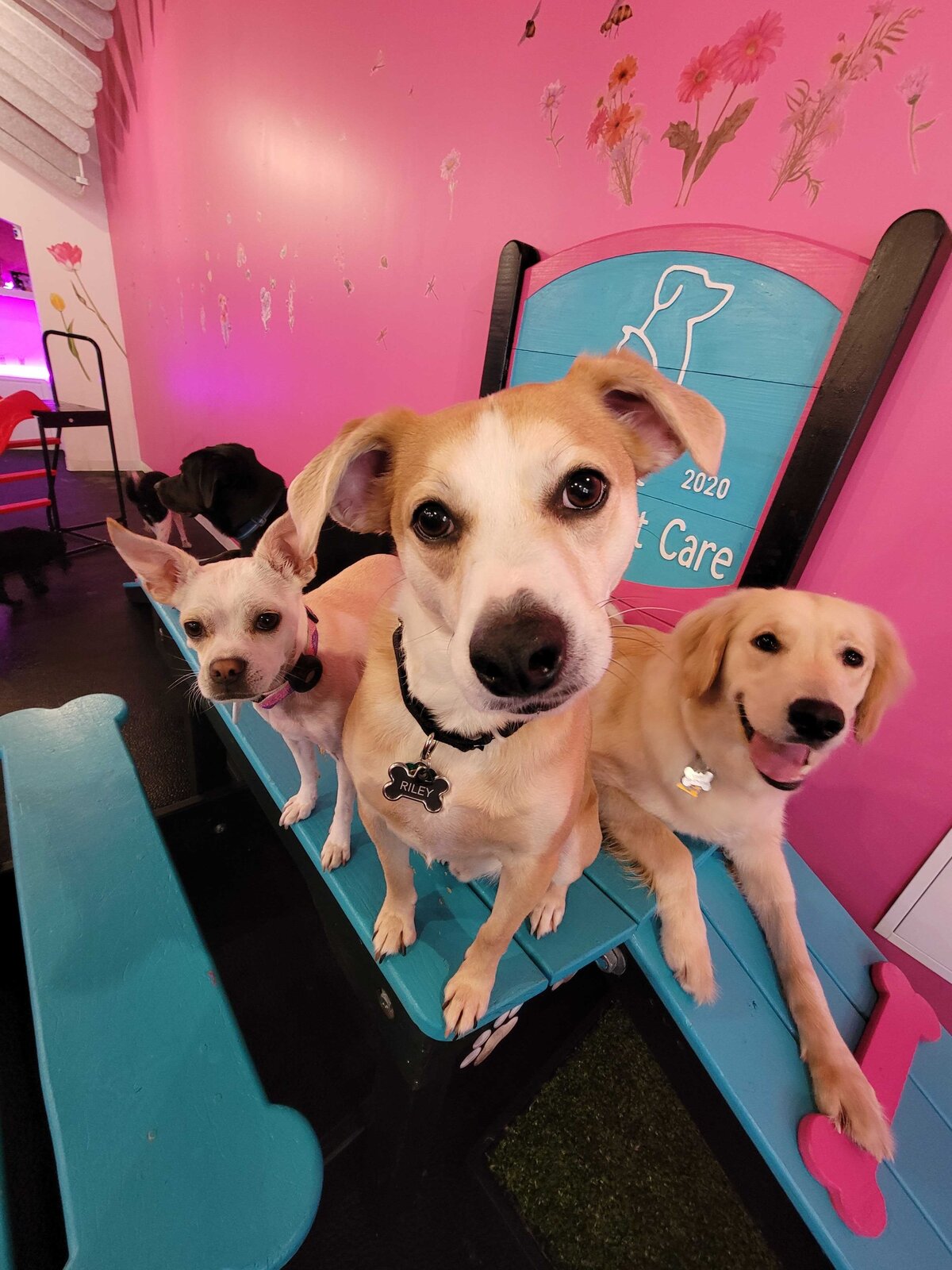 Enrichment daycare