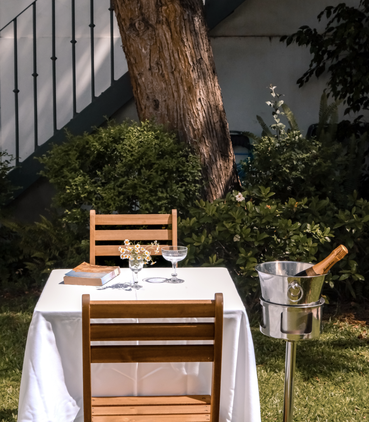 Captura de ecrã 2025-09-09, às 13.43.59