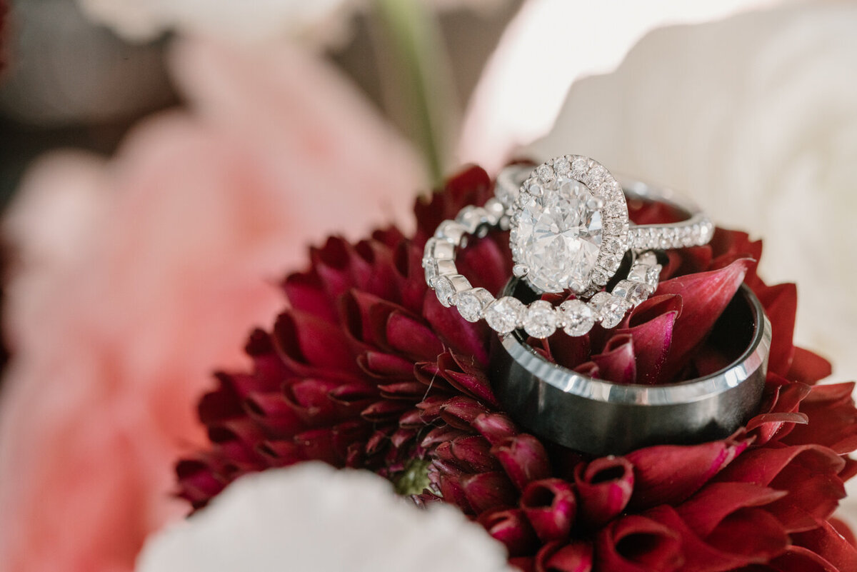 wedding-0002