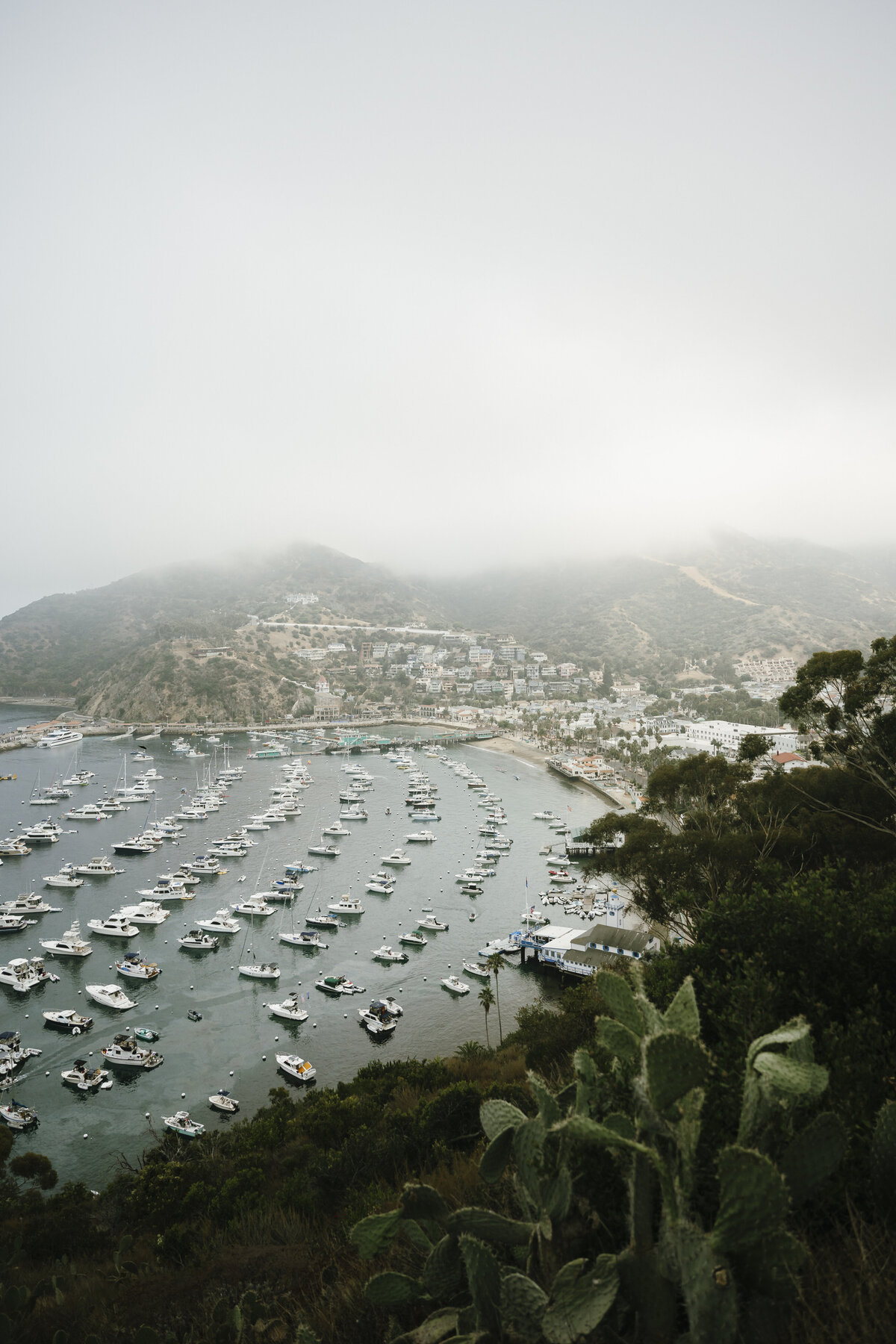 Catalina Island Wedding Photographer
