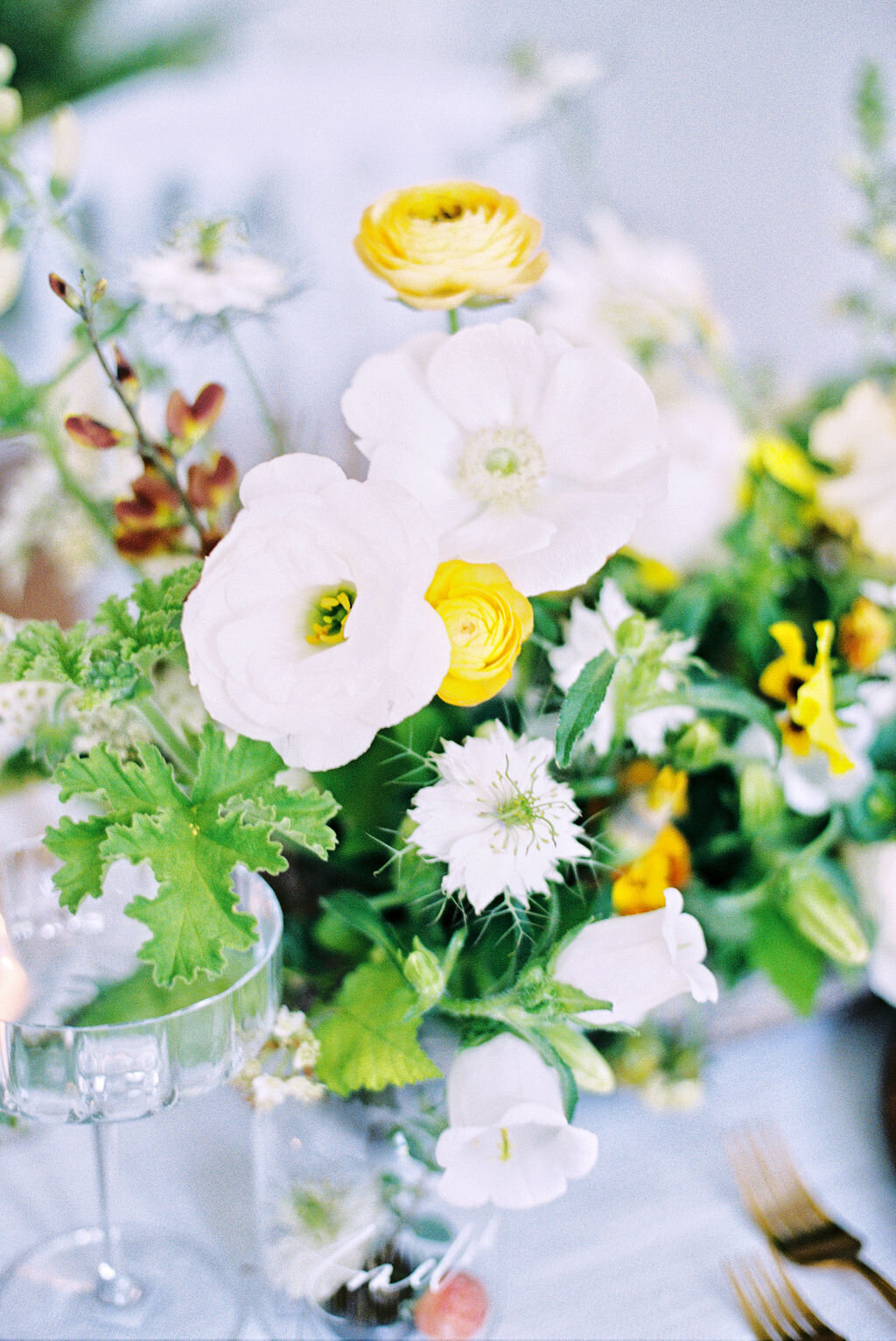EstherFrederickPhotography218