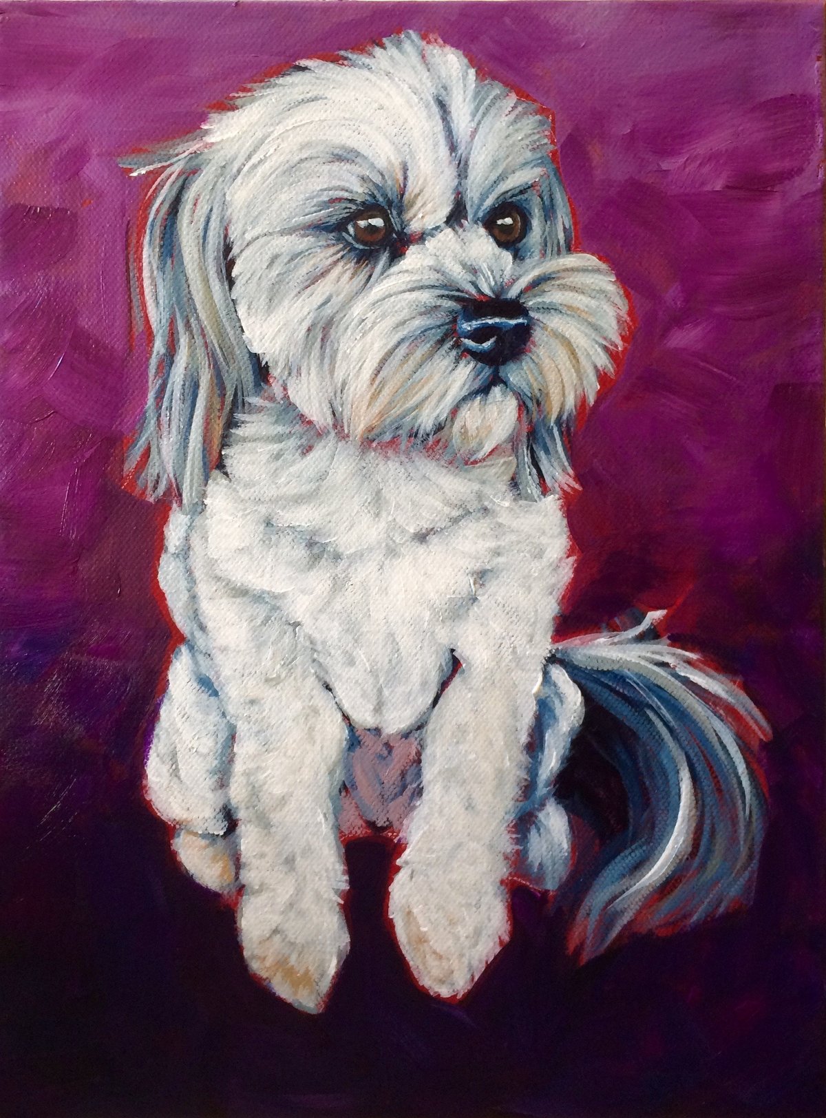 Torregrossa Fine Art Custom Pet Portrait by Stephanie Torregrossa Gaffney