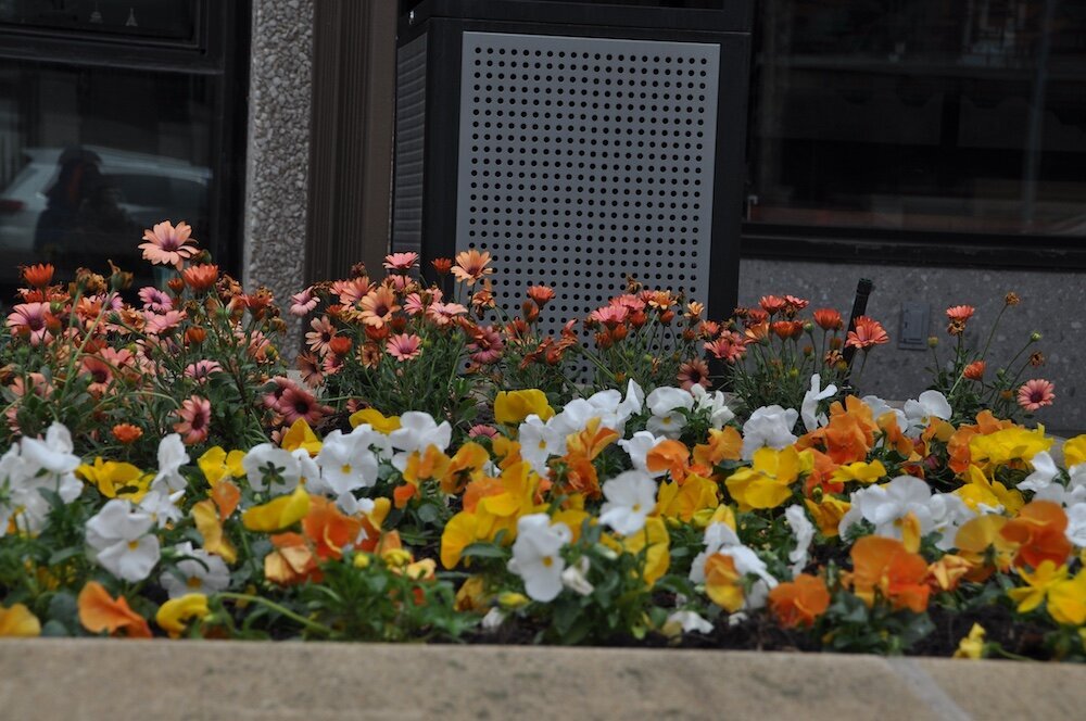 Residential landscape company project in Kansas City