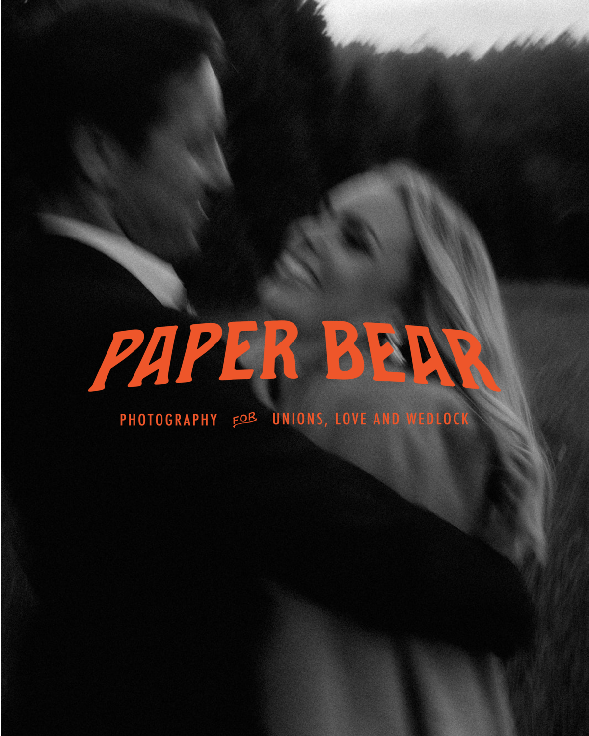Paper_Bear_Launch_Graphic-10