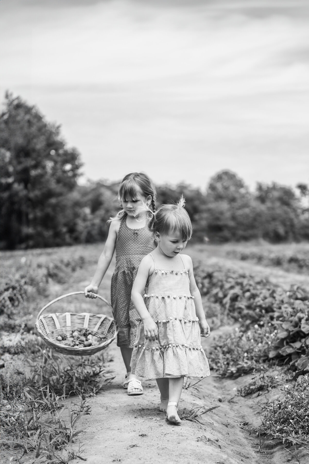 _Z612928-Edit