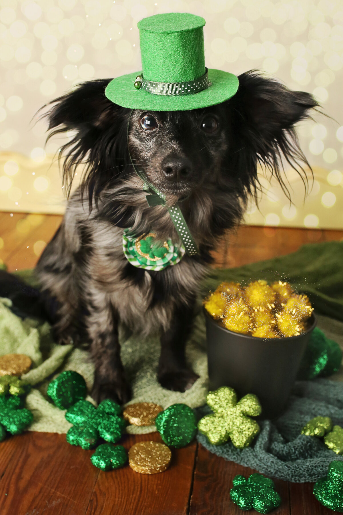 StPatricksDay