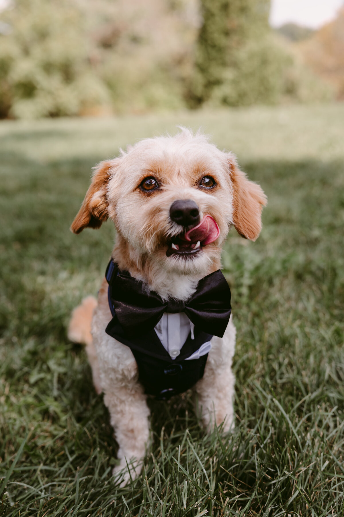 Tammy+Adam_Previews_DanicaOlivaPhotos_16