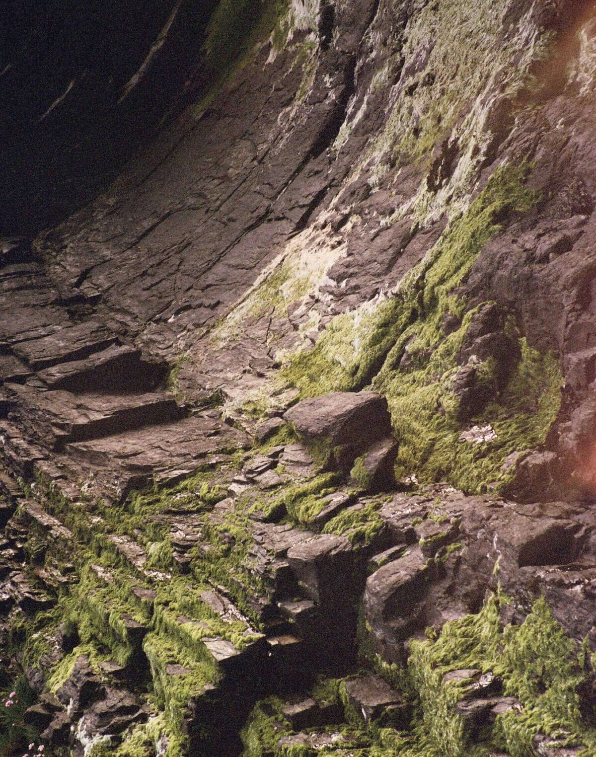 moss-covered-rock-wall-texture-moody