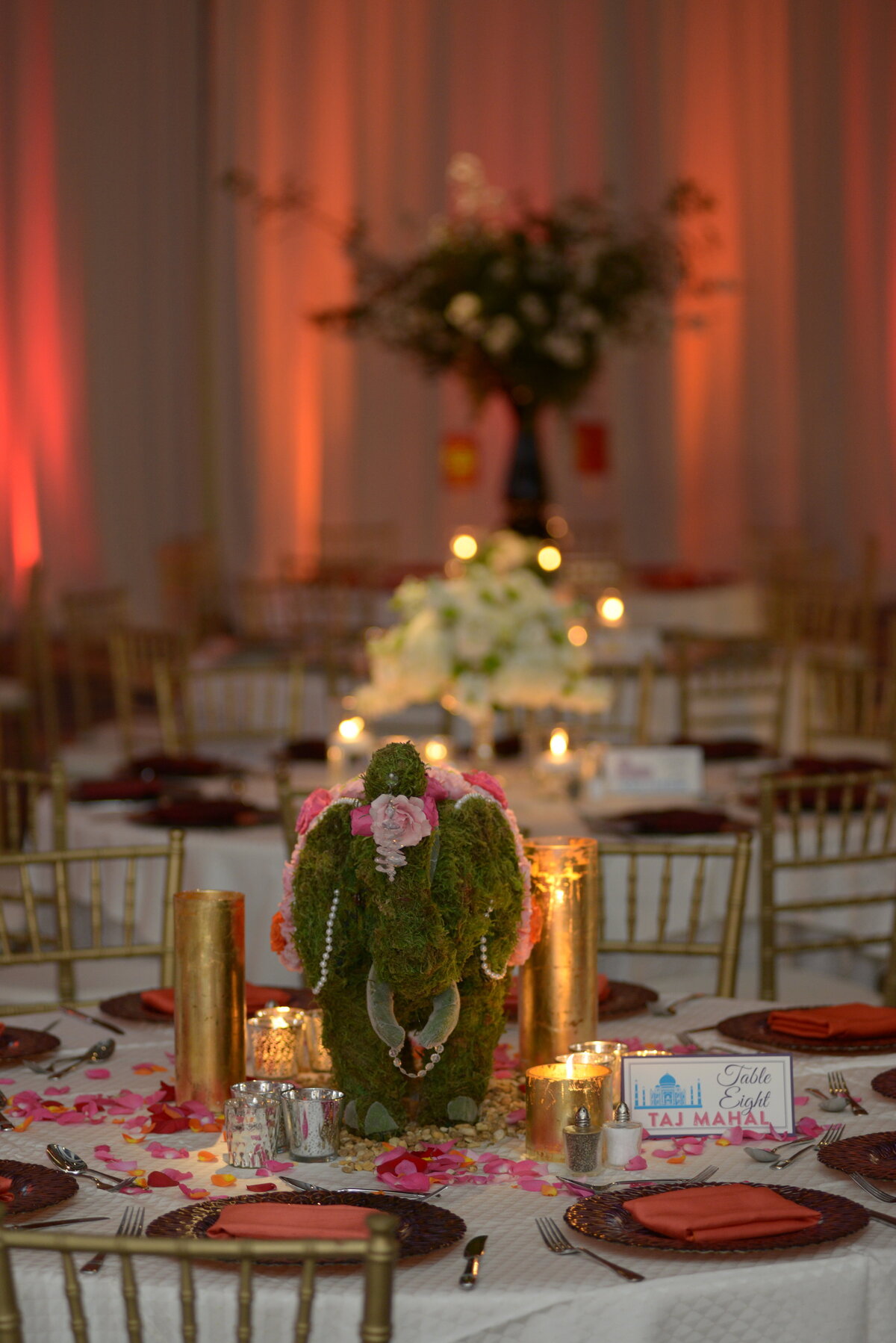 orlando-party-planner-088