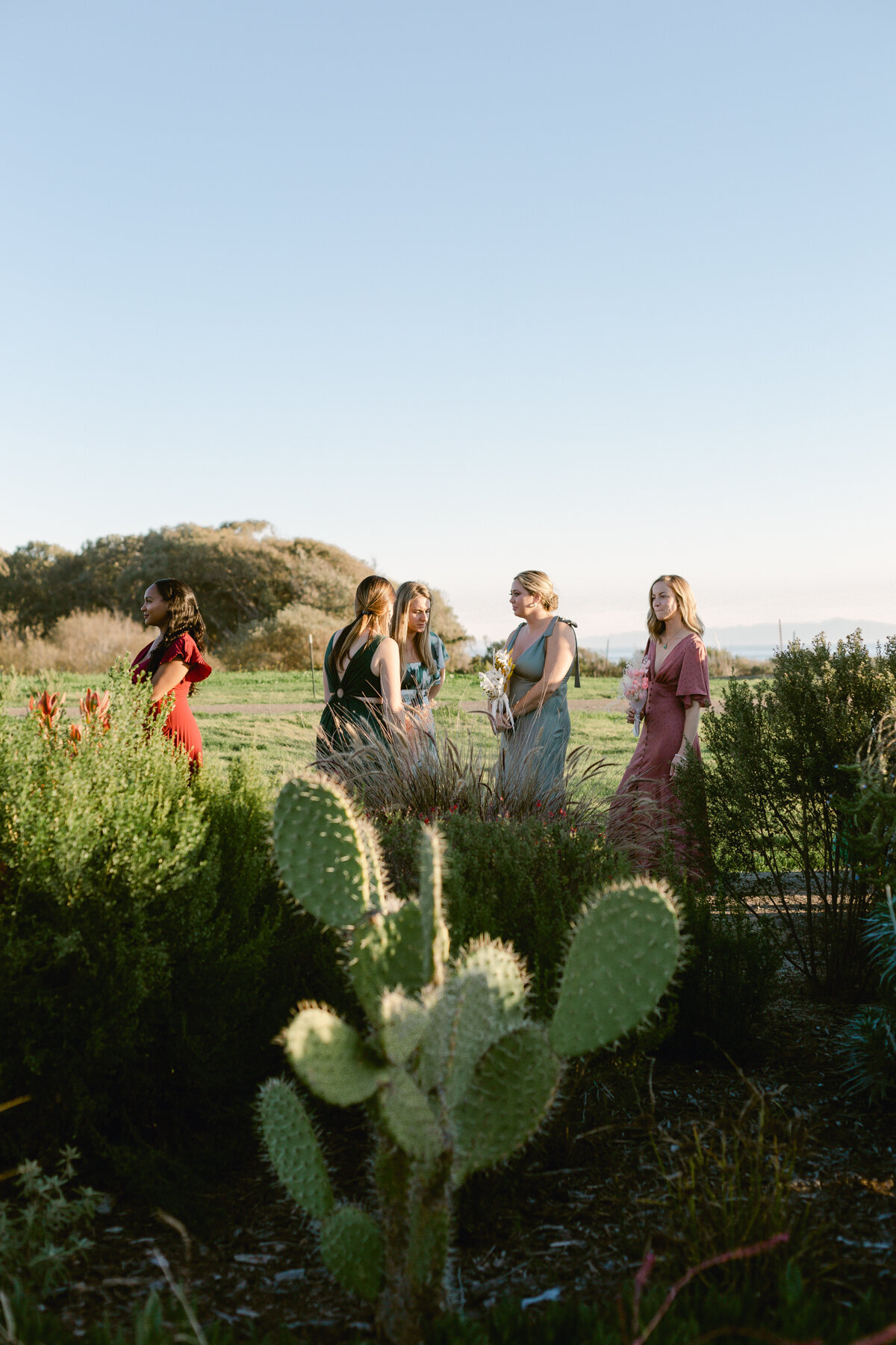 Vogue wedding overlooking the ocean with bride wearing sahroo.