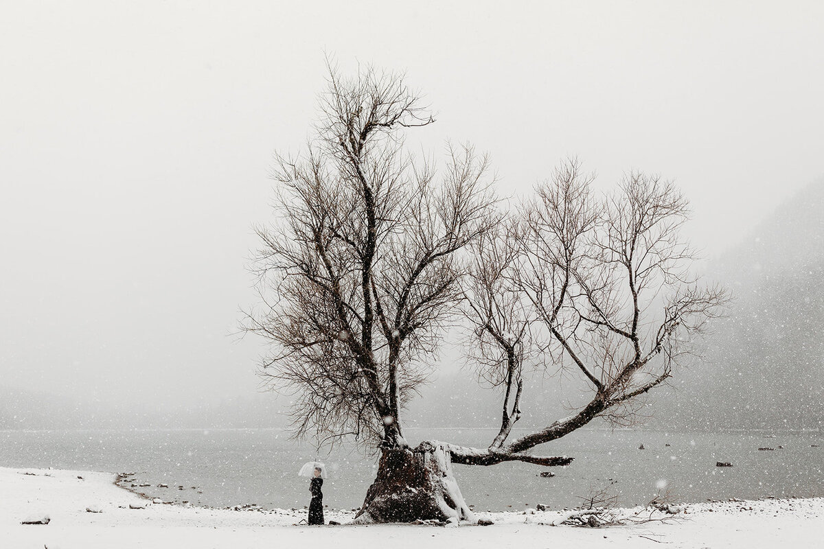 Snowy-Mountain-Elopement-1