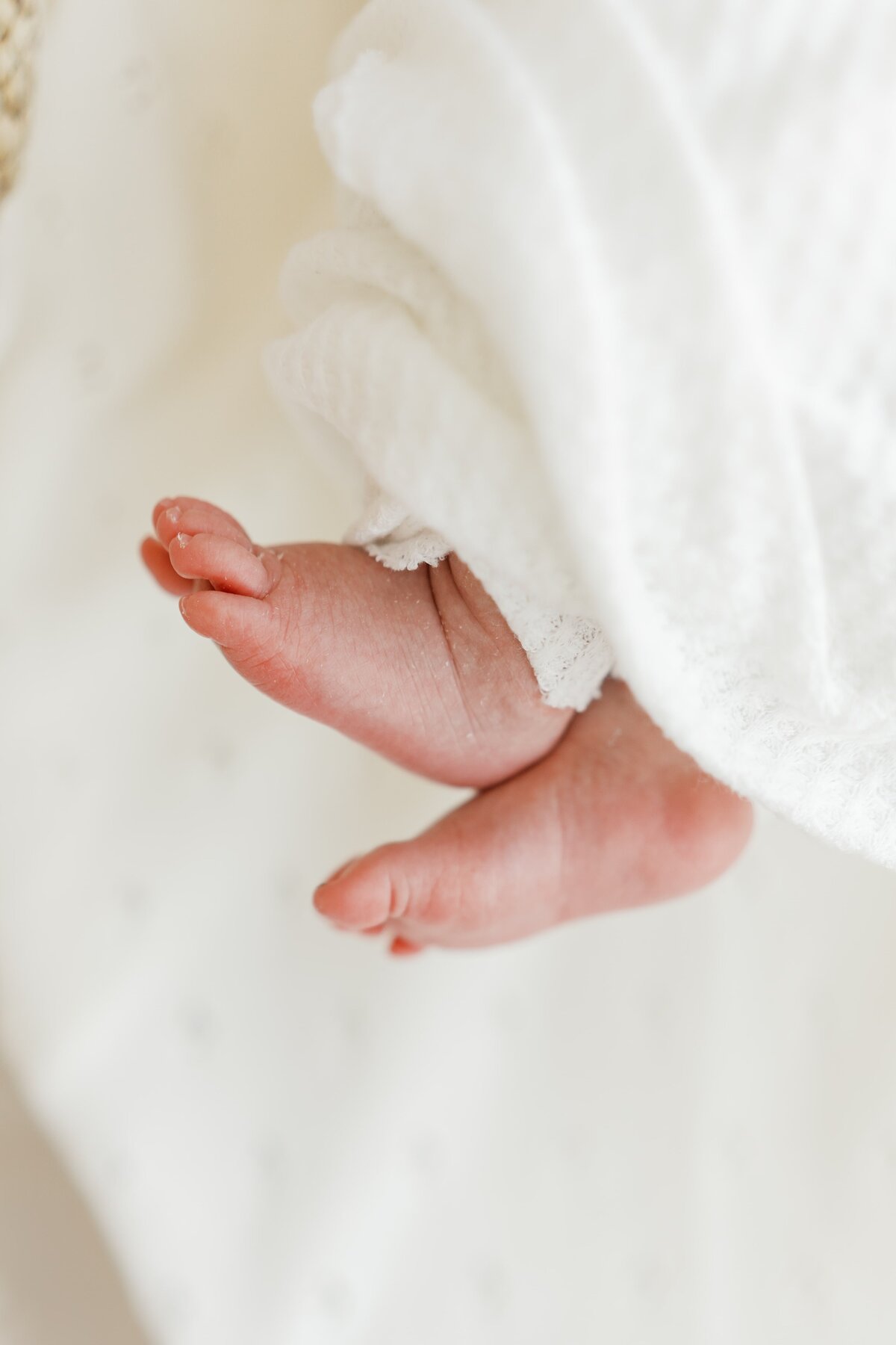 NJ-Newborn-Photographer-227