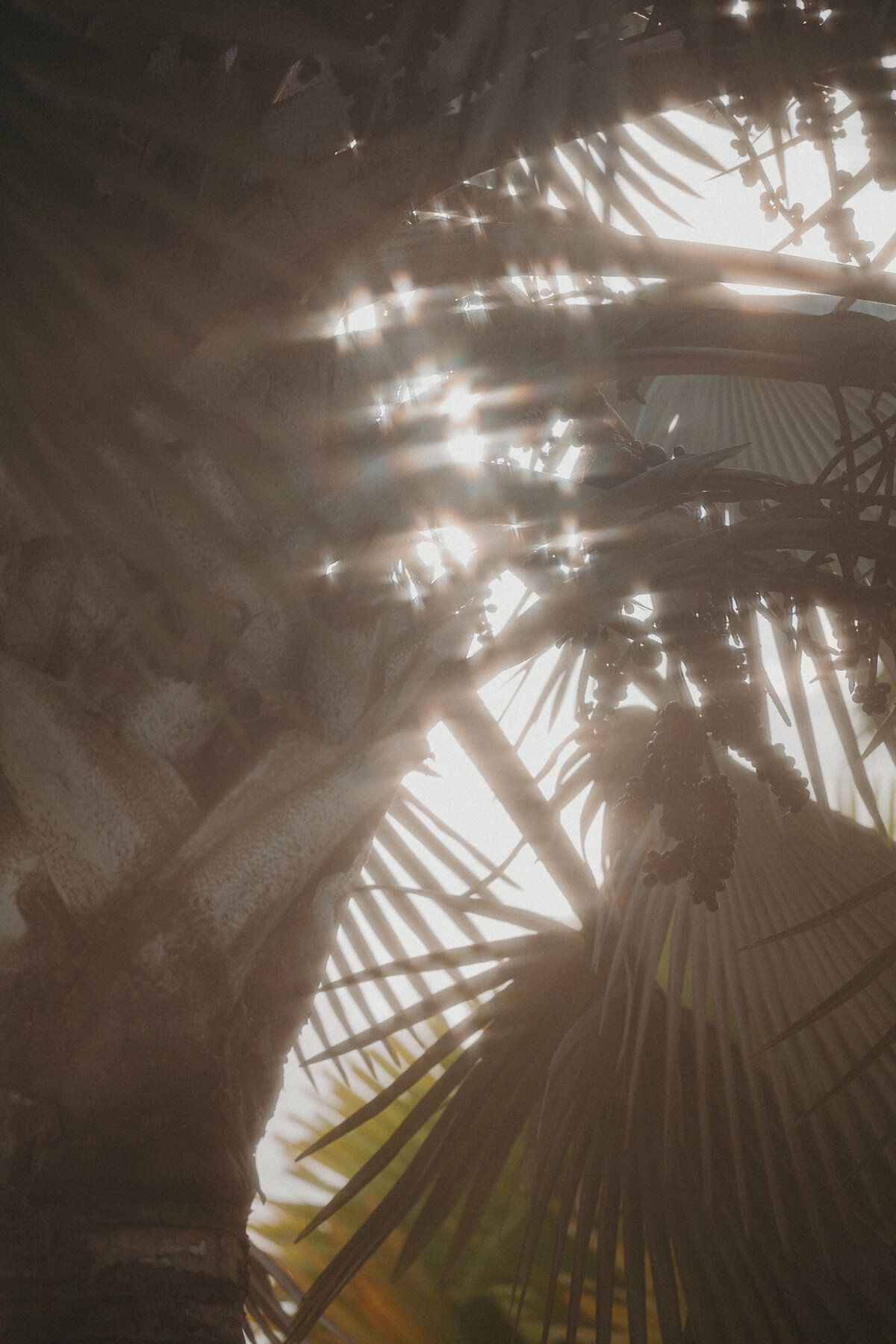 0_Preview-082