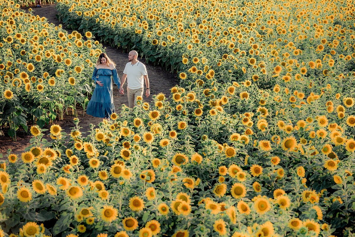 Sunflower-maternity-photo
