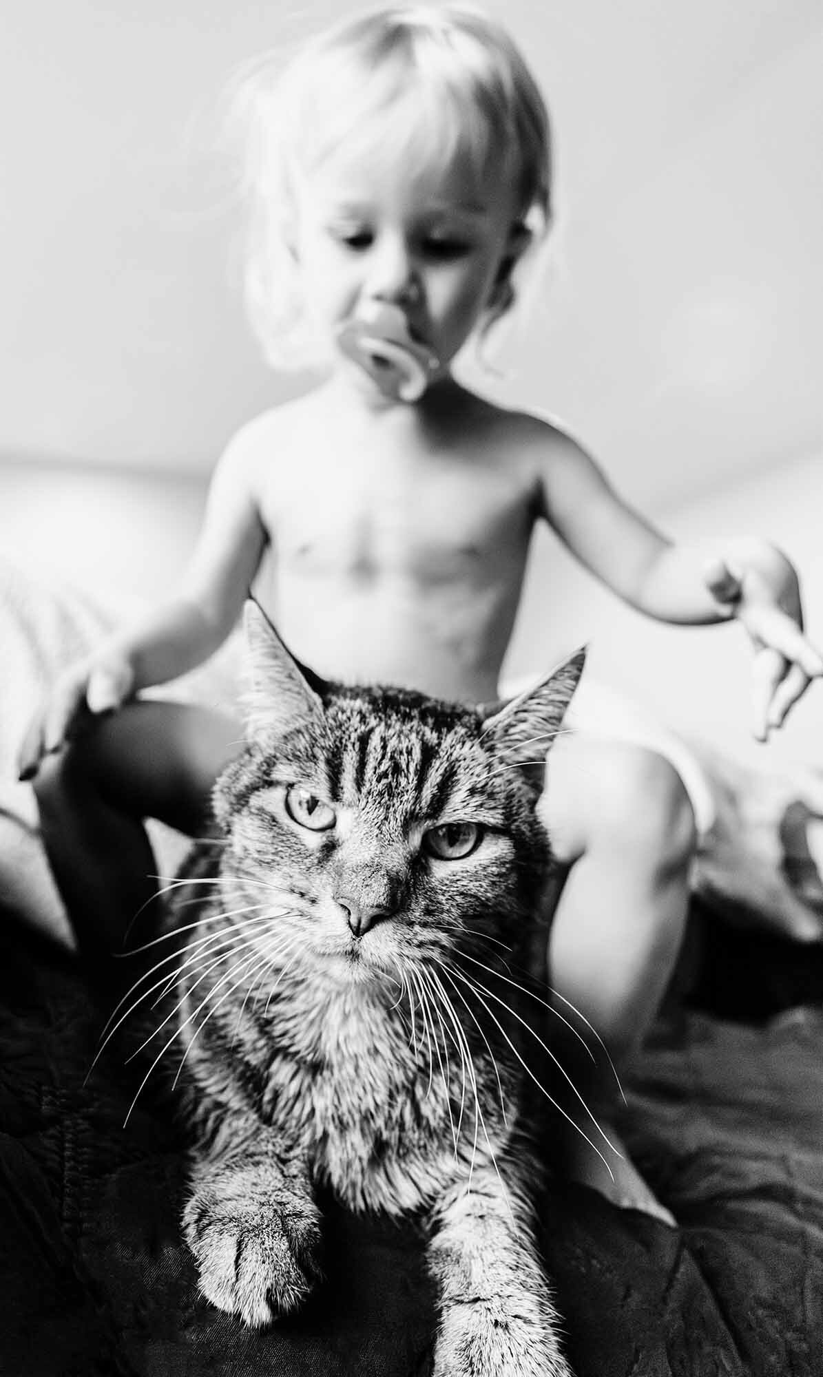 Little girl with her pet cat, Stevensville, Montana