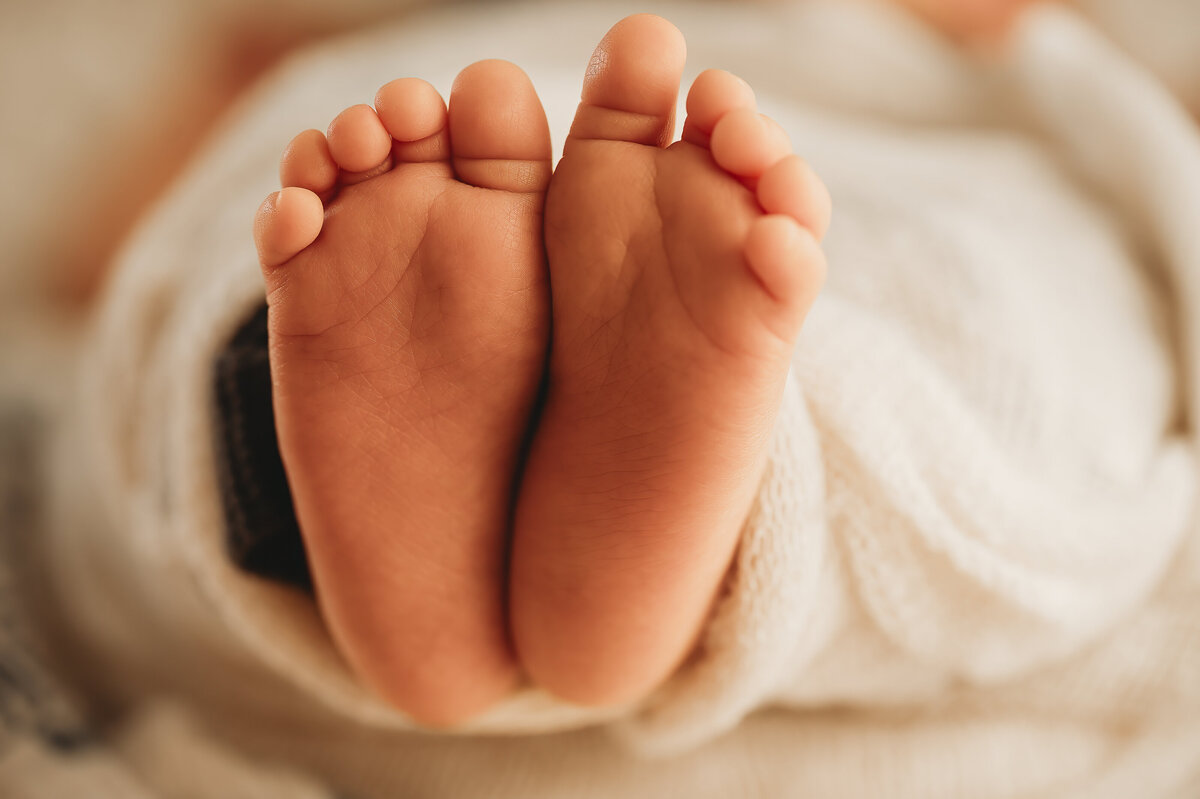 bismarck-studio-newborn-hamilton-3693