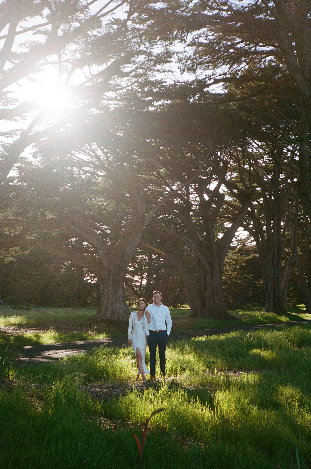 point reyes engagement photographer