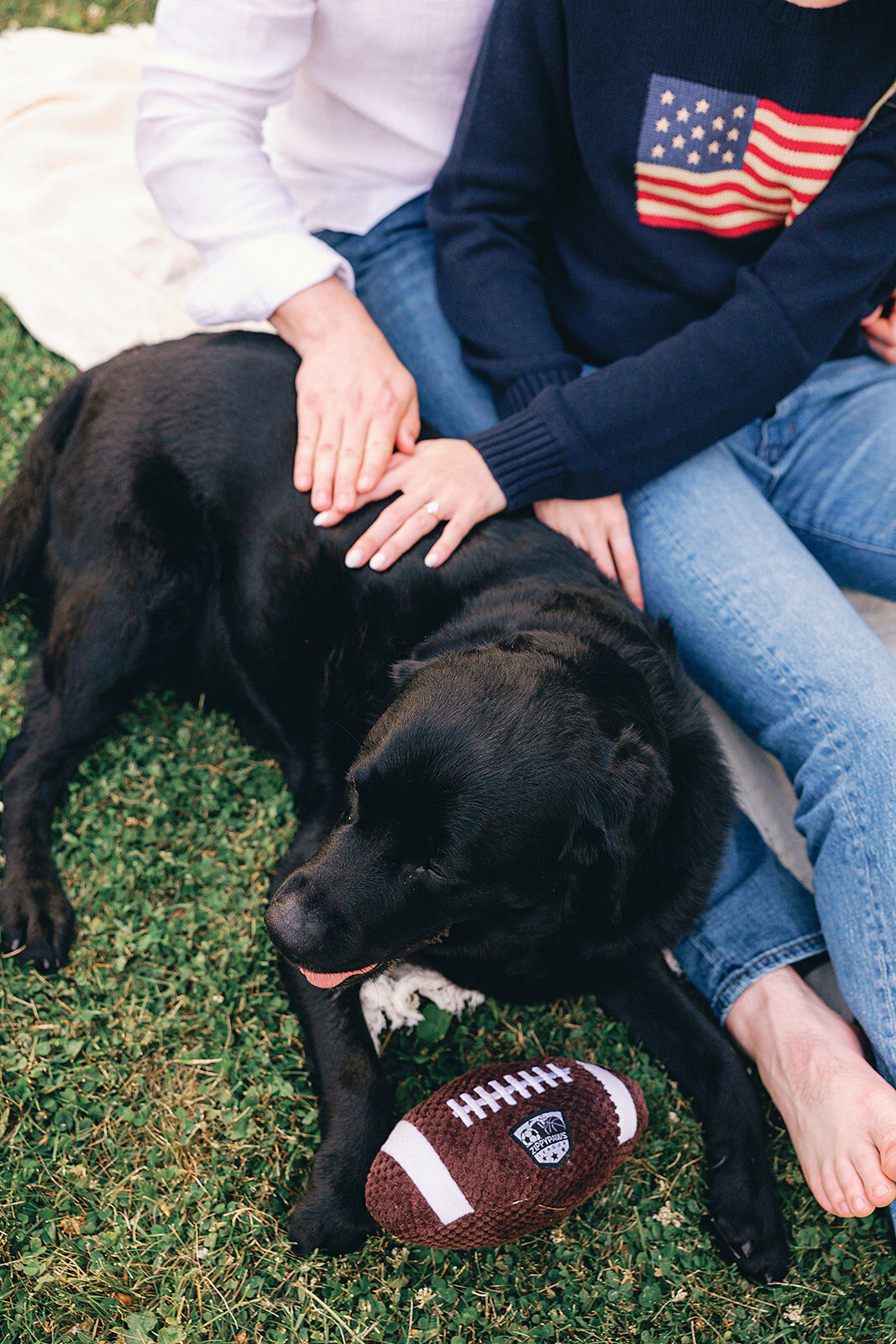 Grosse-Pointe-Engagement-Elise-Filliccia-Photography-156