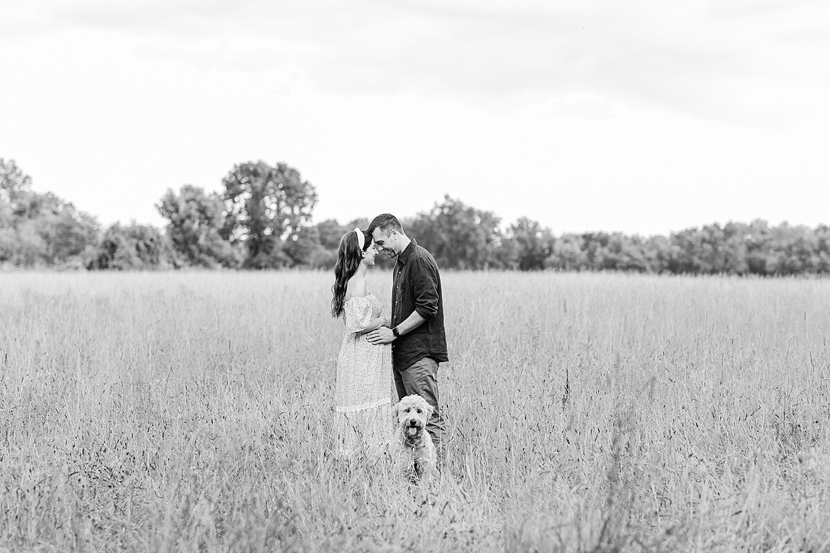 black and white photo of couple with a dogs during maternity photo session with Sara Sniderman Photography at Heard Farm in Wayland Massachusetts
