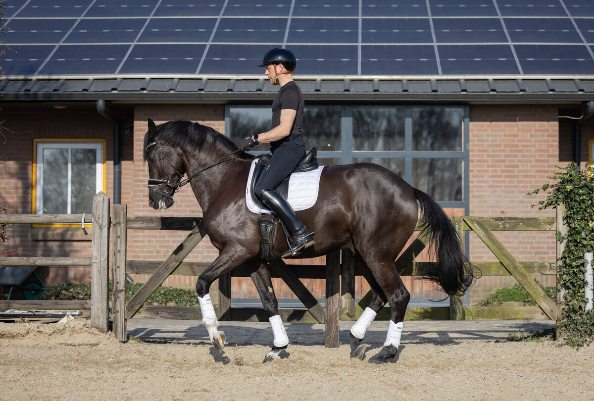 382A2205 - hoge resolutie