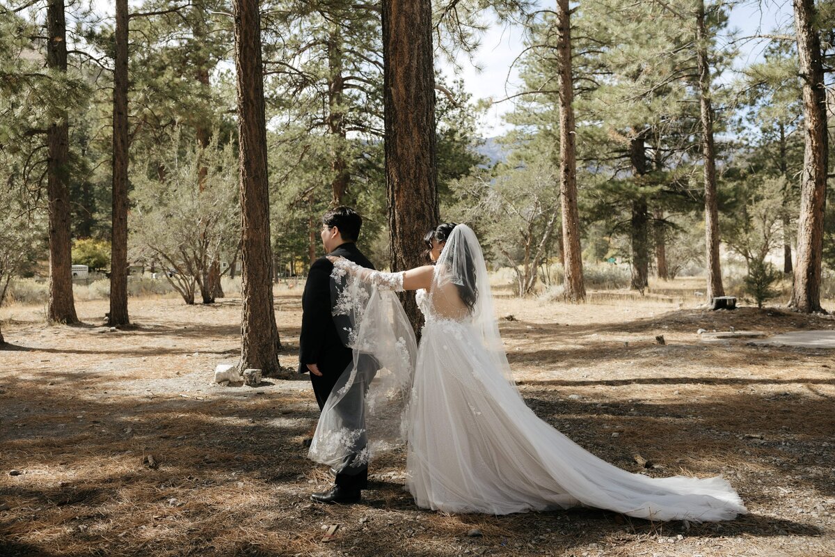 mount charleston elopement