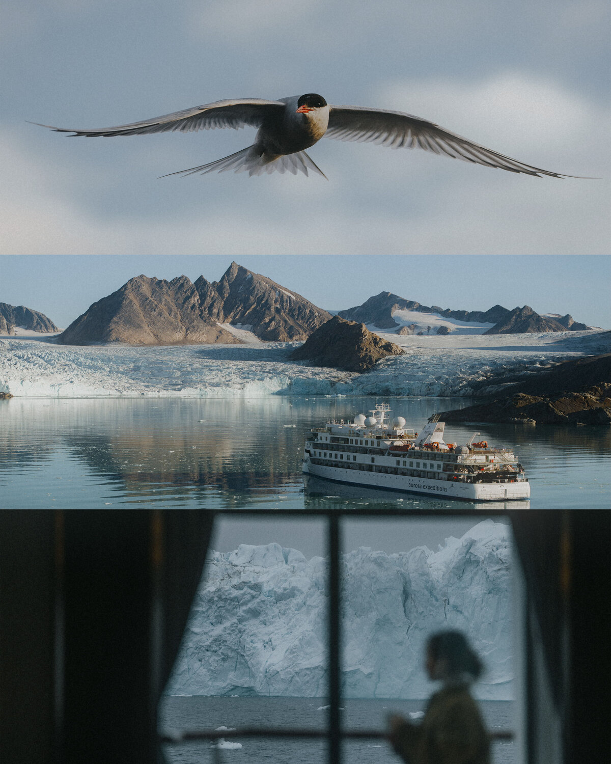 30_arctic greenland_helloemilie