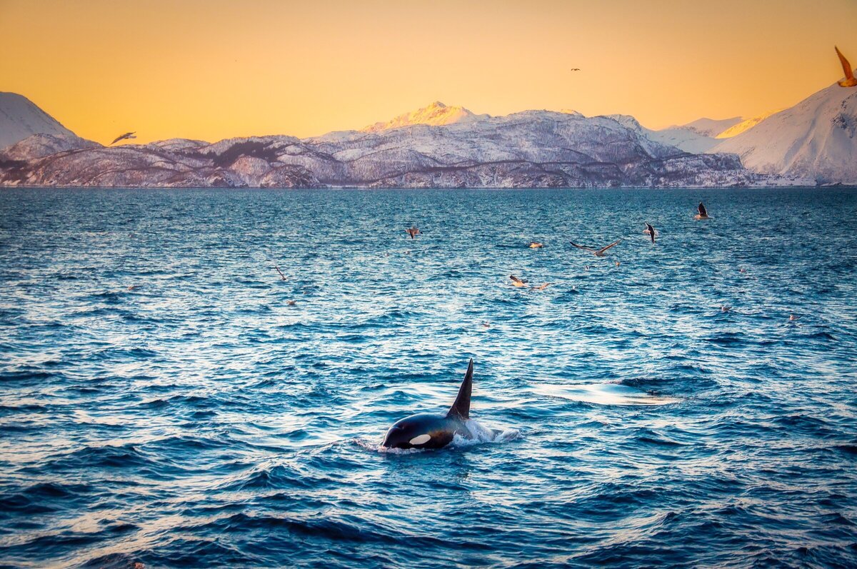 Travel Lifestyle hospitality photographer25