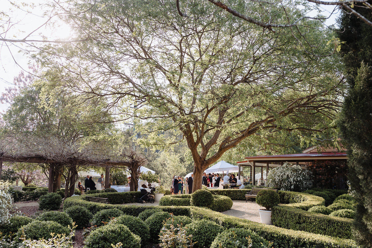 Redleaf Wollombi film wedding photography-84