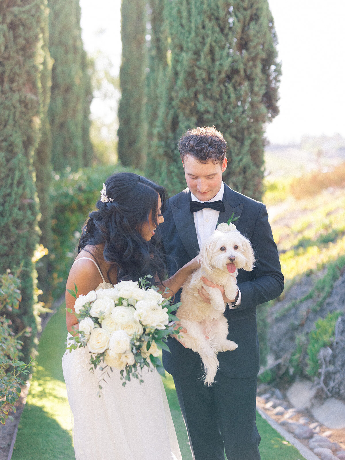 A&H Photo Co. - C&C-70