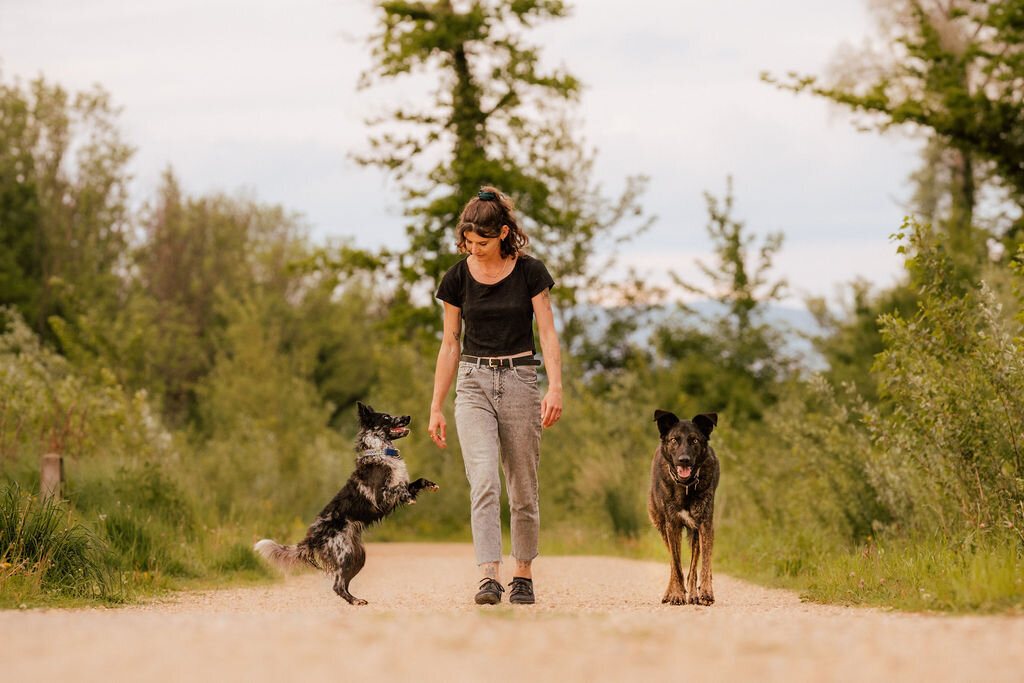 Elis-Fotografie-Hundefotografin-Solothurn-Tiefotografin-Biel-Paarfotos Solothurn-Hochzeitsfotograf-Bern23
